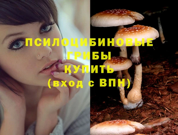 спиды Наволоки
