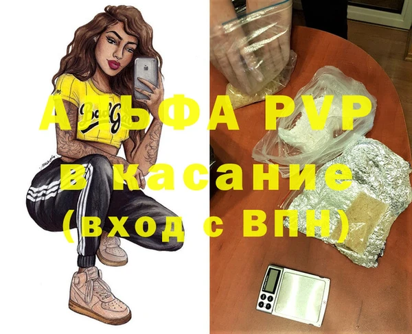 стаф Надым