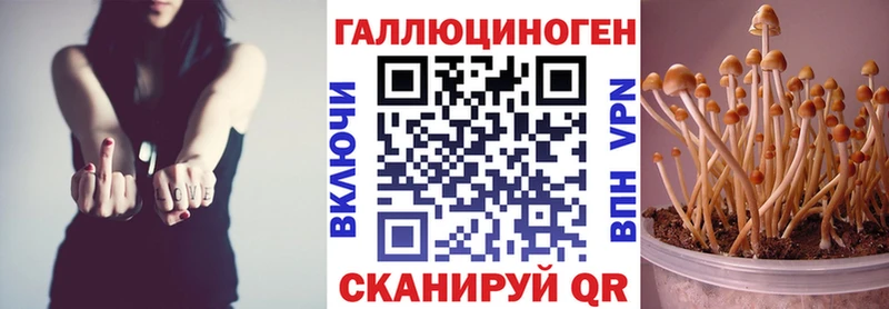 Галлюциногенные грибы прущие грибы  mega ссылка  Брюховецкая  наркота 